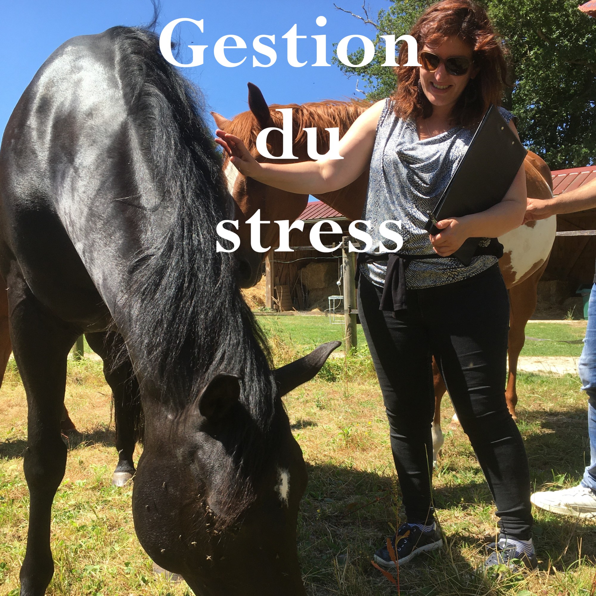 Une jument noire et une femme