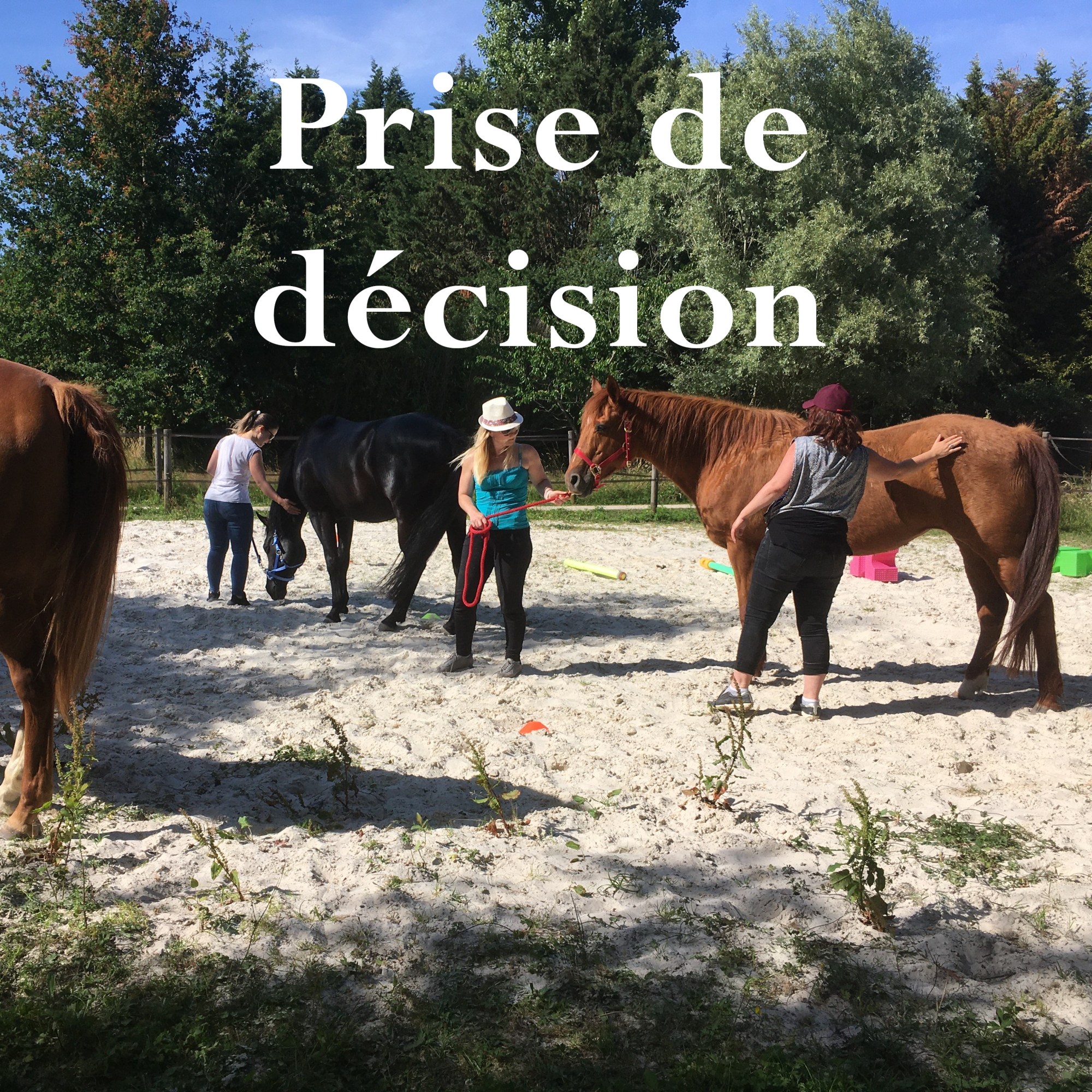 Groupe de salariés avec des juments, au soleil d'été