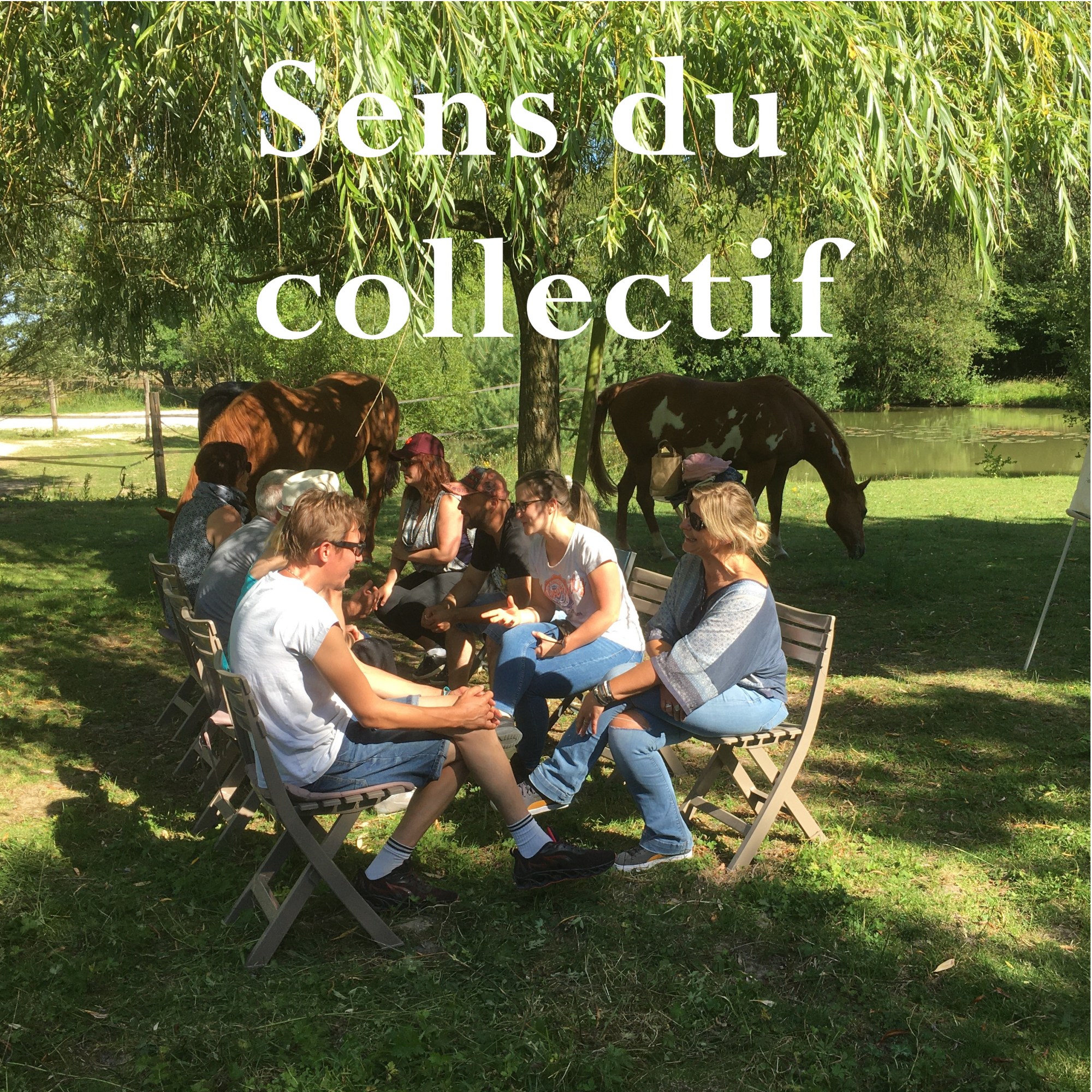 Un groupe de salarié, assis au milieu d'un pré avec des chevaux